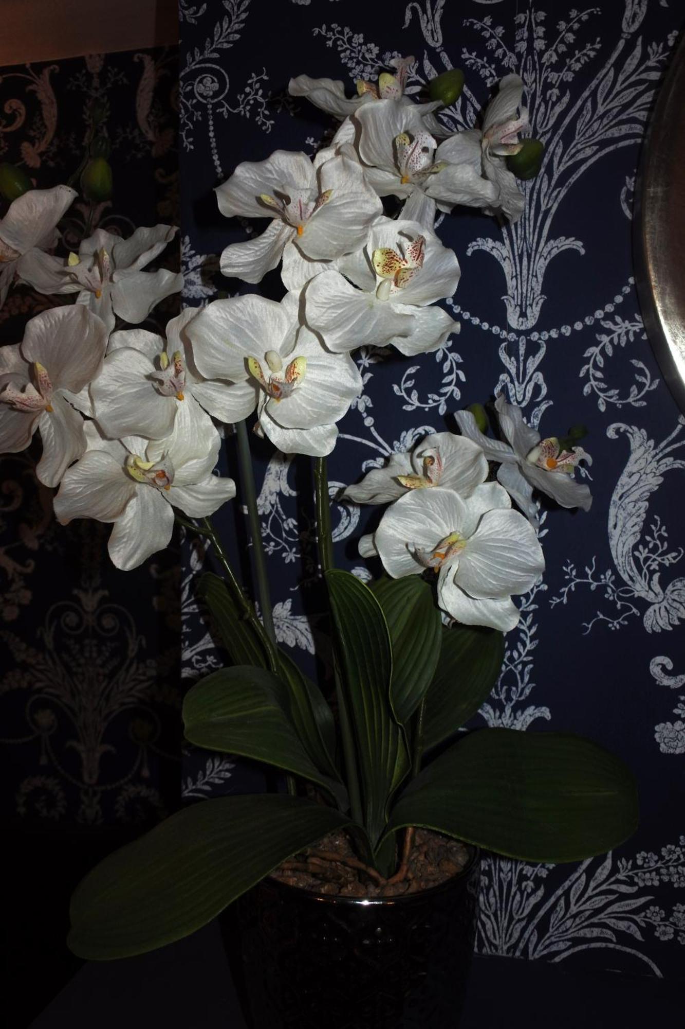 Magpies Restaurant With Rooms ฮอร์นคาสเซิล ภายนอก รูปภาพ